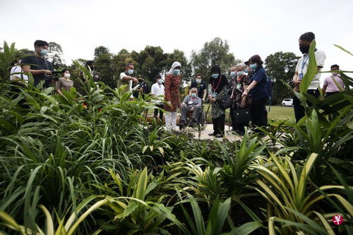 栽种100多种花木 总统府包容性花园开放 行动不便者乐游无障碍